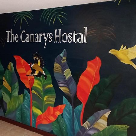 The Canarys Hostal Santa Rosa de Cabal Kültér fotó