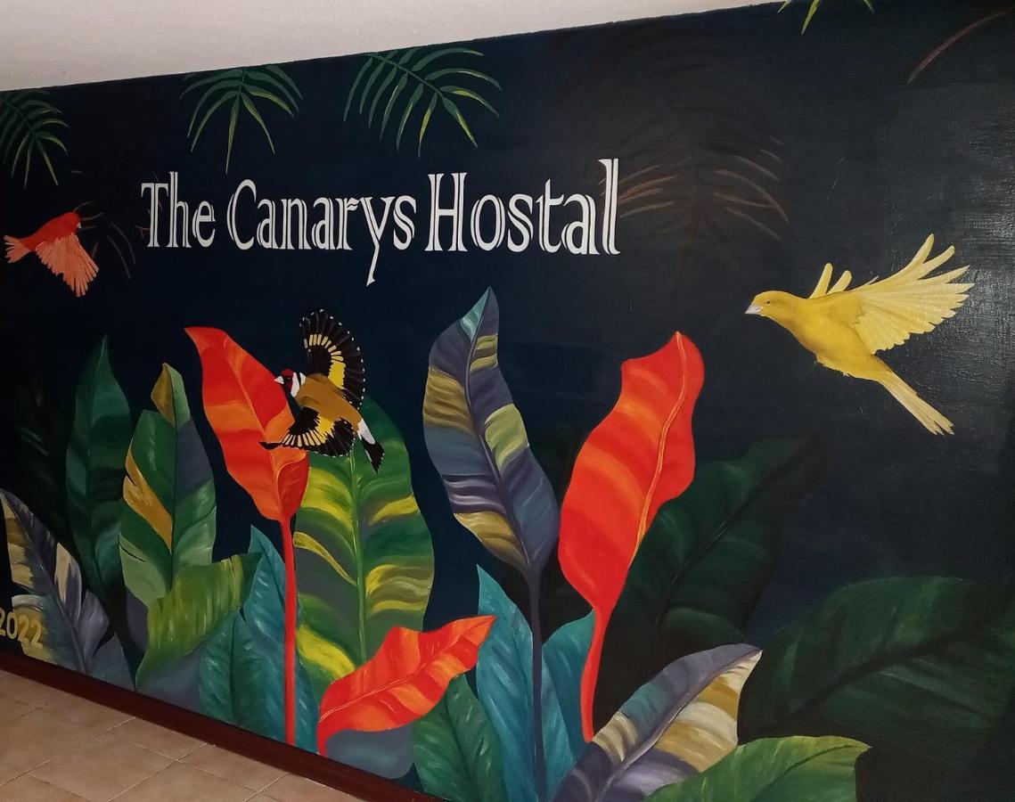 The Canarys Hostal Santa Rosa de Cabal Kültér fotó